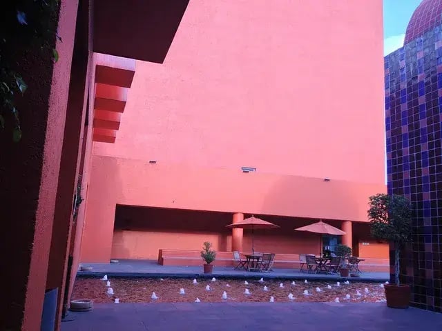 Las mejores colonias para rentar en Coyoacán (Ciudad de México)