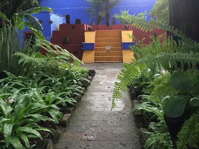 Las mejores colonias para rentar en Coyoacán (Ciudad de México)