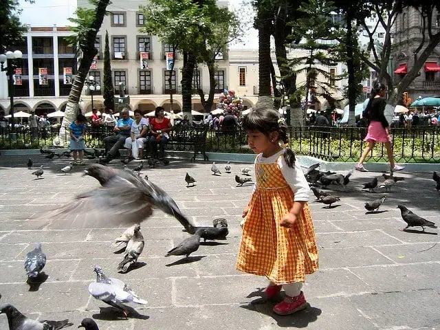 las 10 mejores ciudades de México para criar niños 2016