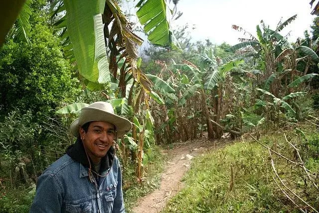 10 estados de México para el ecoturismo