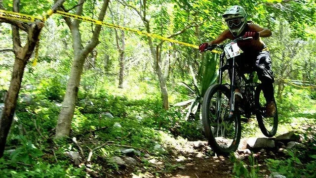 Los 10 estados deportivos de México