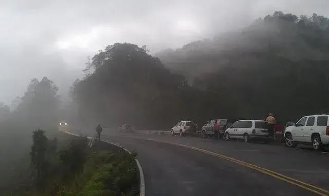 10 estados de México para el ecoturismo