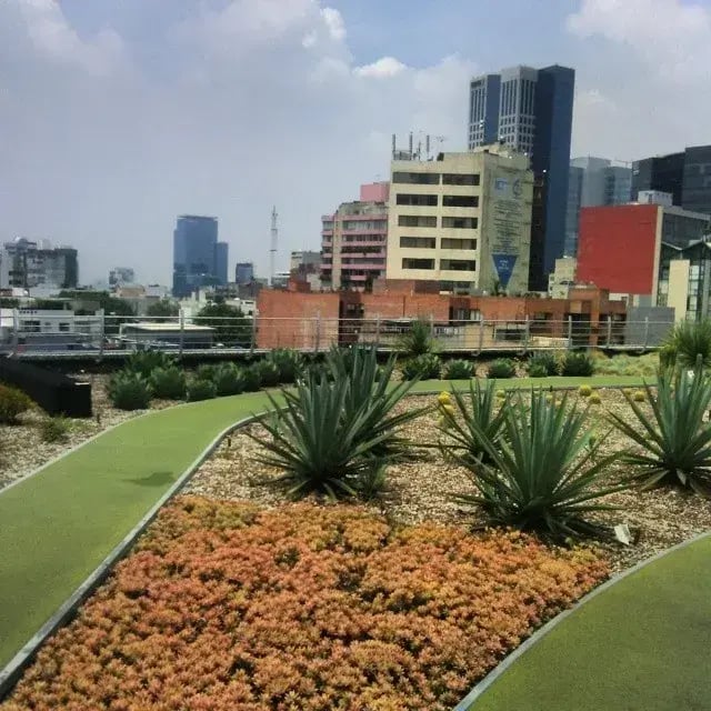 Agricultura en el DF