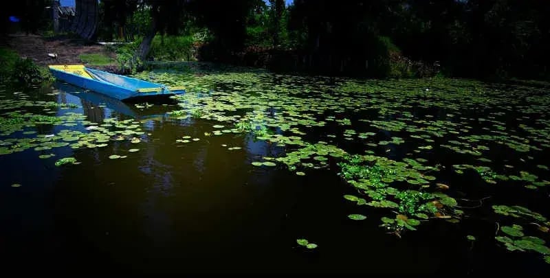 Guía para habitantes del DF