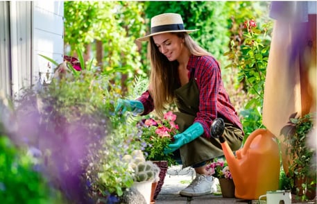 Renovar tu jardín de manera buena, bonita y barata aprovechando ofertas