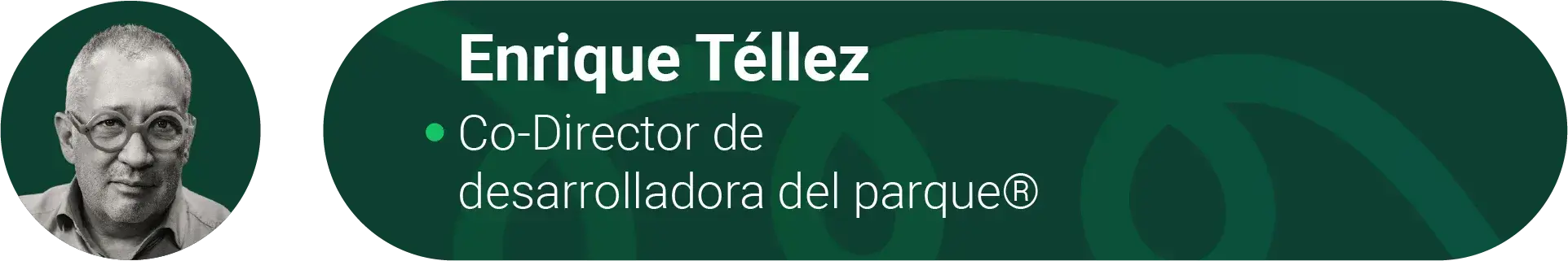 Ficha de autor - Desarrolladora del parque